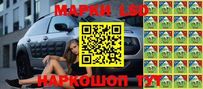 шишки Коммунар