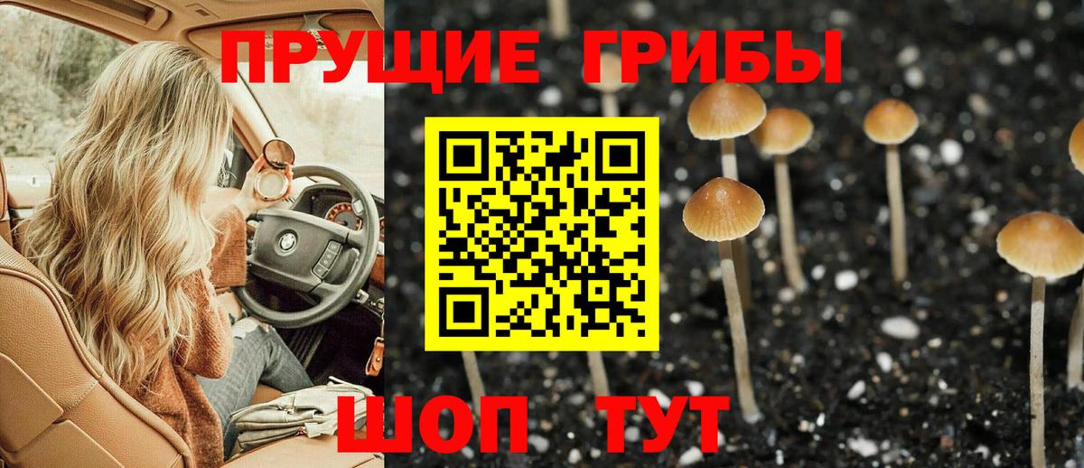 Псилоцибиновые грибы MAGIC MUSHROOMS  Вход с VPN  Киселёвск  Галлюциногенные грибы мухоморы 