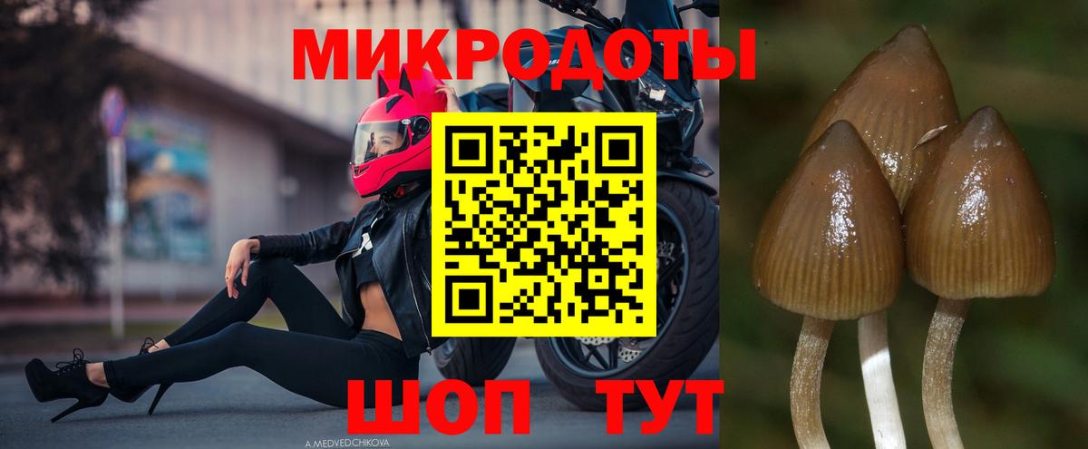 Галлюциногенные грибы GOLDEN TEACHER Киселёвск