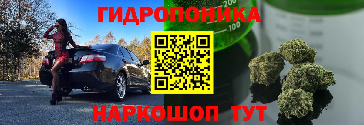 МАРИХУАНА VHQ  Бошки марихуана MAZAR  Вход с VPN  Киселёвск 